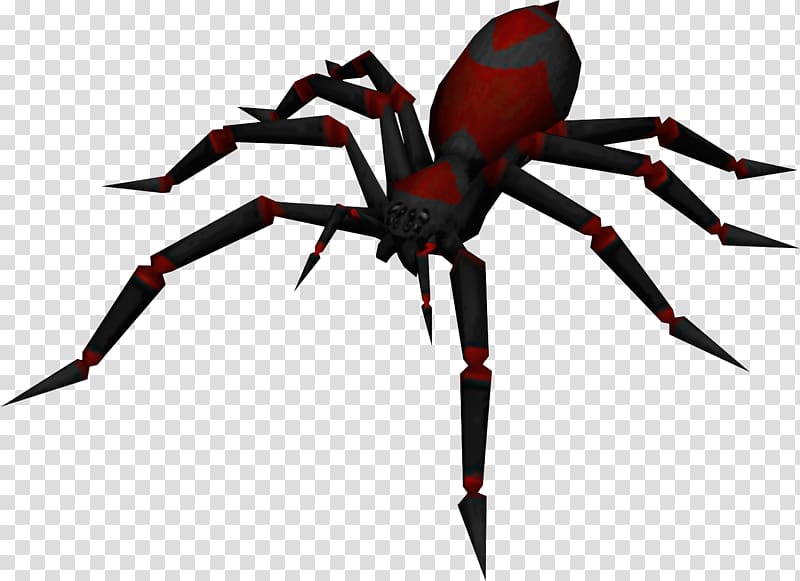 RuneScape Spider Is It Poisonous? Scorpion, roach transparent background PNG clipart