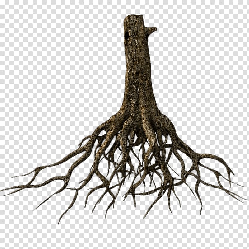 grey tree stump, Tree Root 3D modeling TurboSquid , the roots transparent background PNG clipart