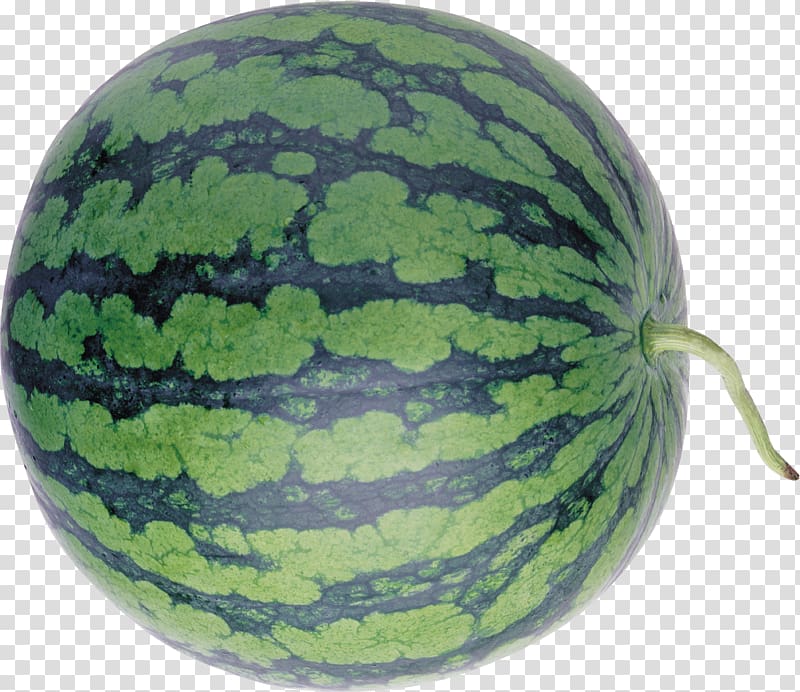 Watermelon Cucurbita Winter squash , watermelon transparent background PNG clipart