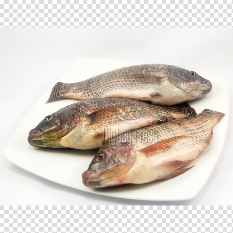 Fish products Tilapia 09777 Salted fish Cod, fish transparent background PNG clipart