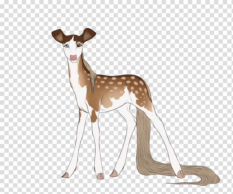 Deer Italian Greyhound Springbok Wildlife, deer transparent background PNG clipart