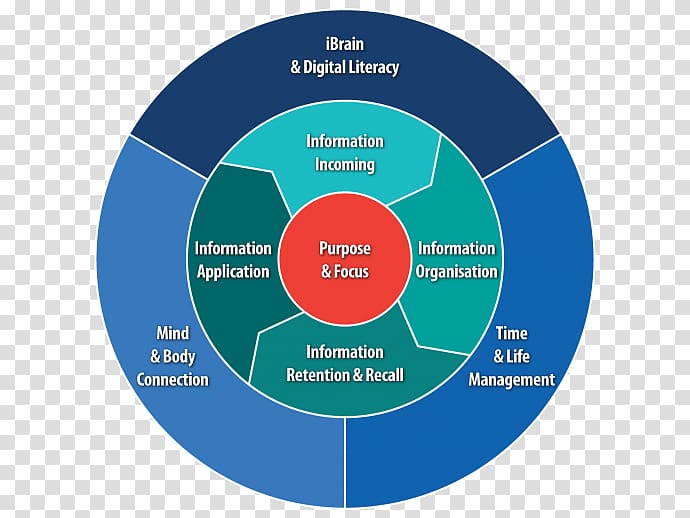 Information management Information overload Organization, creative Thinking transparent background PNG clipart
