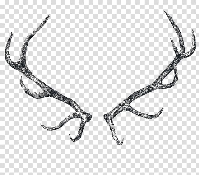 Reindeer Elk Antler Horn, Antler transparent background PNG clipart