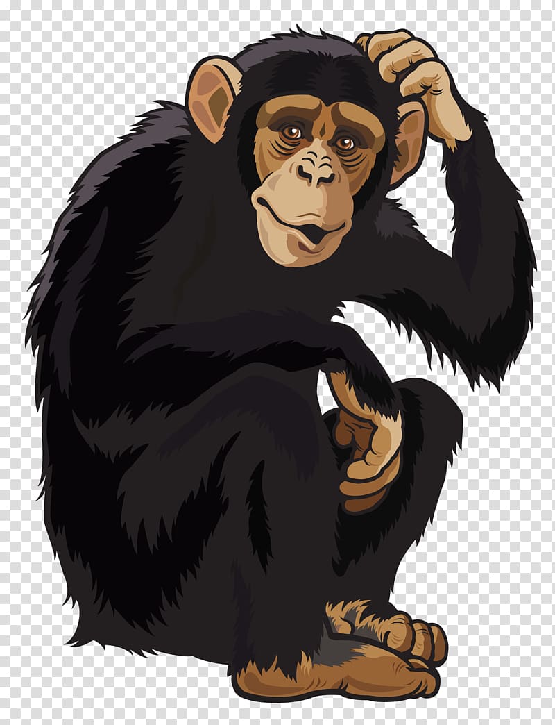 black and brown monkey illustration, Common chimpanzee Chimpanzee Politics: Power and Sex Among Apes , Monkey transparent background PNG clipart