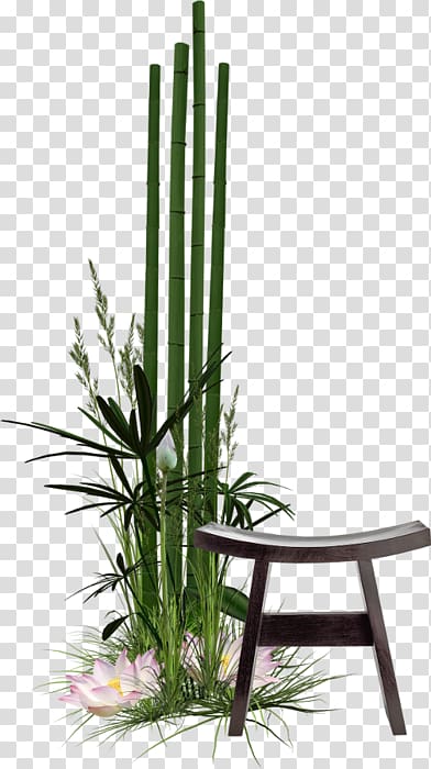 Flowerpot Grasses Plant stem, Bamboo shoot. transparent background PNG clipart