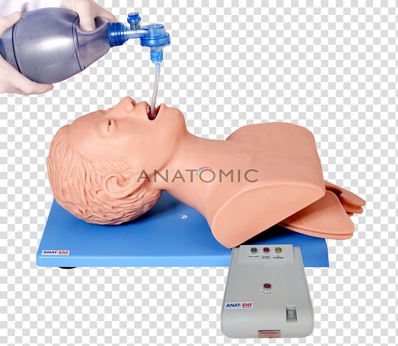 Tracheal intubation Training Medicine Lung, manequim transparent background PNG clipart