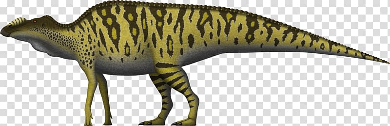 Edmontosaurus annectens Maiasaura Hadrosaurus Dinosaur, hadrosaurid transparent background PNG clipart