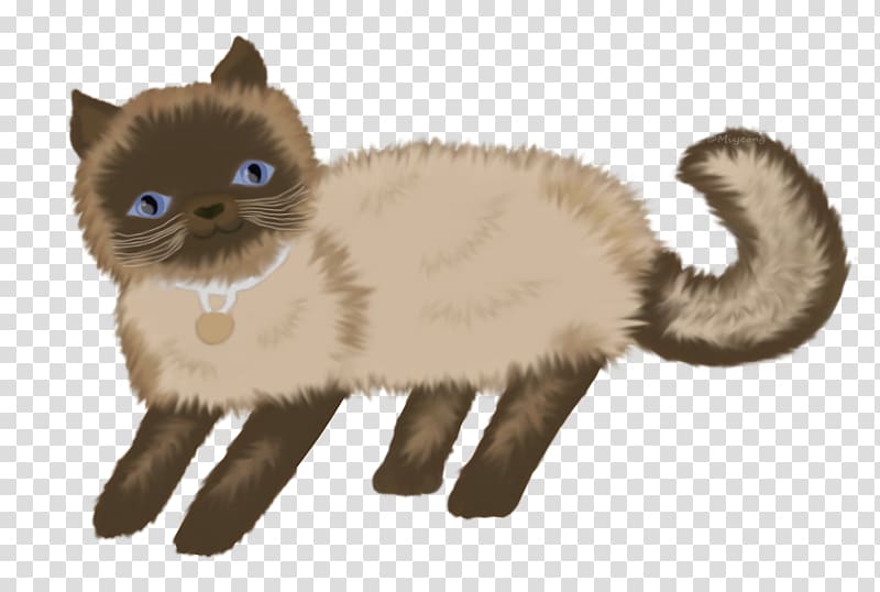 Whiskers Kitten Himalayan cat Domestic short-haired cat Fur, kitten transparent background PNG clipart