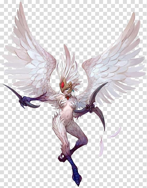 Dragon Nest Harpy Model sheet Character, dungeons and dragons transparent background PNG clipart