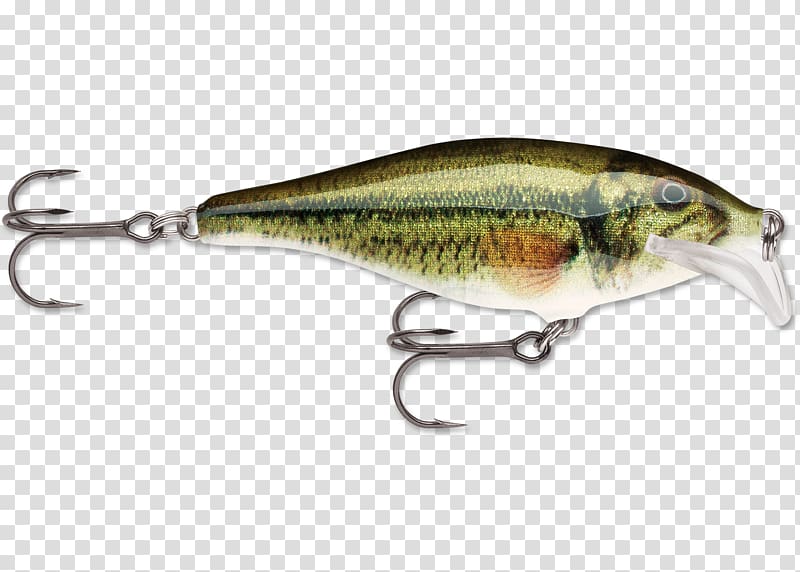 Northern pike Rapala Largemouth bass Fishing Baits & Lures Bass fishing, Fishing transparent background PNG clipart