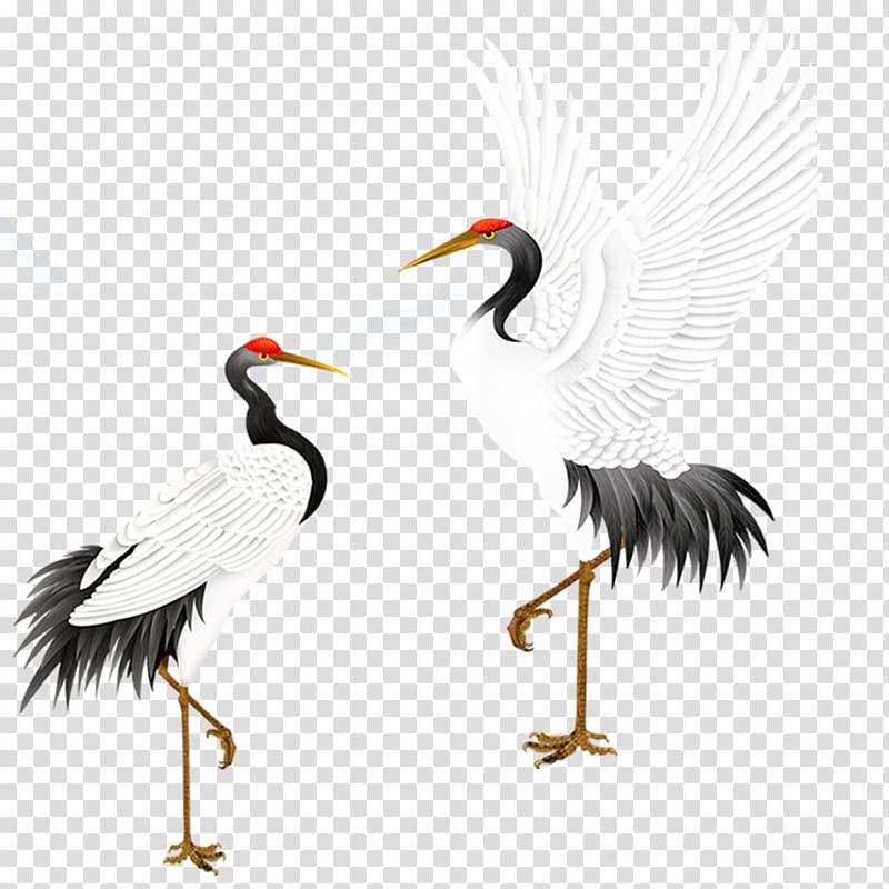 two white-and-black birds art illustration, Red-crowned crane Bird Grey crowned crane, White Crane transparent background PNG clipart
