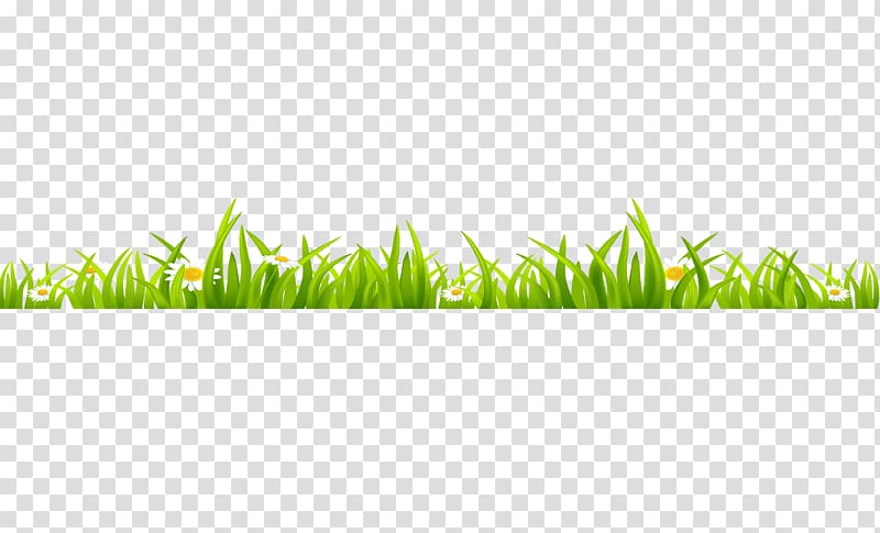 Watercolor painting, Green grass transparent background PNG clipart