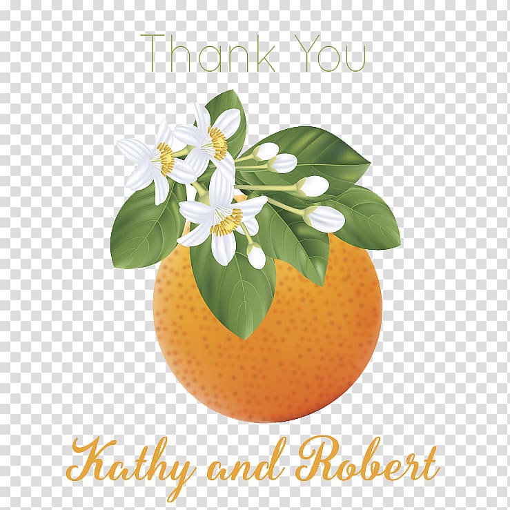 orange fruit illustration, Bitter orange Citrus xd7 sinensis Mandarin orange Orange blossom, An orange transparent background PNG clipart