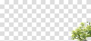 Flower Line Curve Angle, Trees flower,Oh Sang-flower transparent background PNG clipart thumbnail