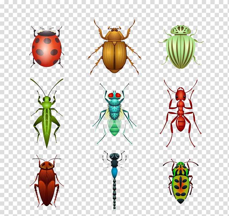 Beetle Euclidean Sticker Ladybird, Design insect material transparent background PNG clipart