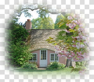 Cottage Desktop House Color , house transparent background PNG clipart thumbnail