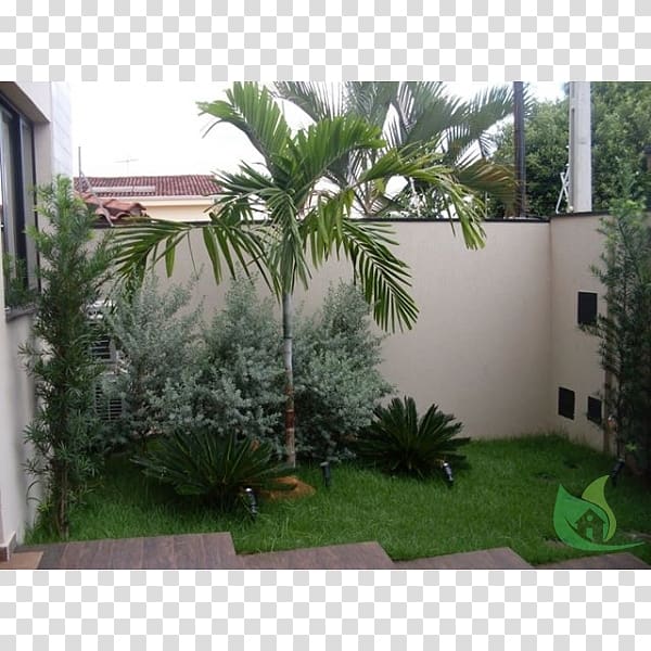 Arecaceae Backyard Property Grasses Shrub, Pousada Das Canoas transparent background PNG clipart