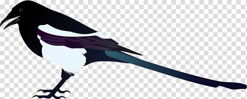 Eurasian Magpie Korean magpie Bird , Bird transparent background PNG clipart