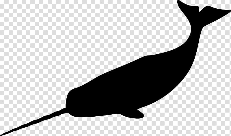 Narwhal Silhouette , Silhouette transparent background PNG clipart