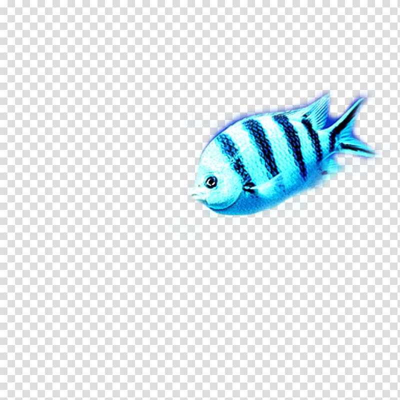 Turquoise Fish Pattern, fish transparent background PNG clipart