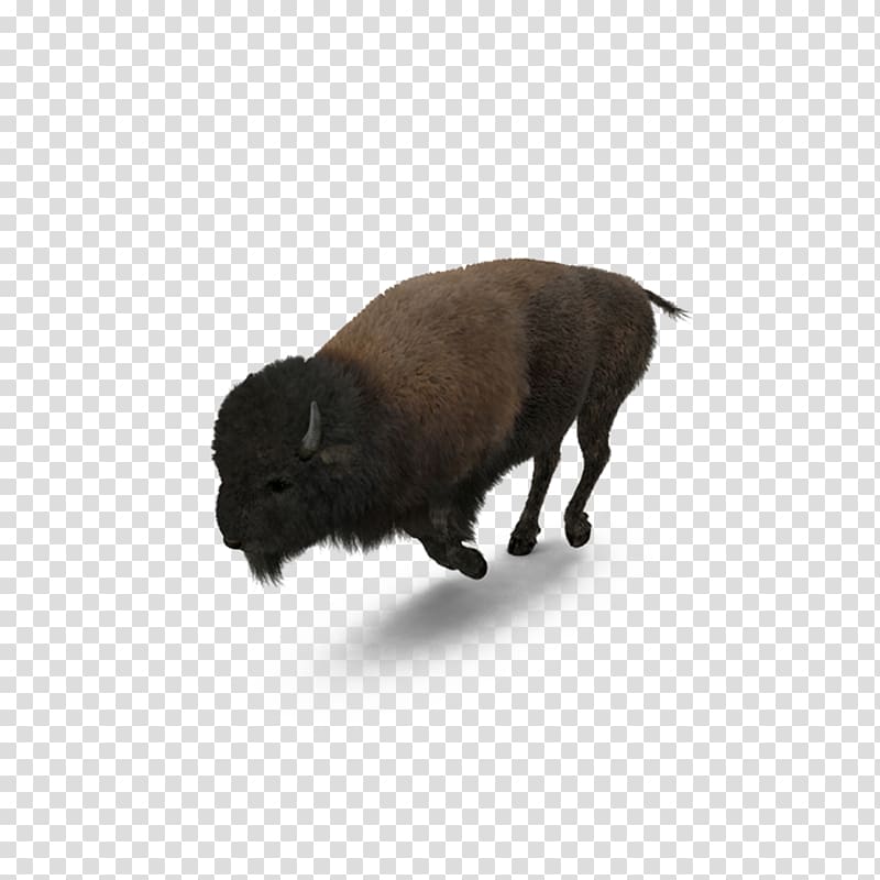 Buffalo American bison, Running bison transparent background PNG clipart