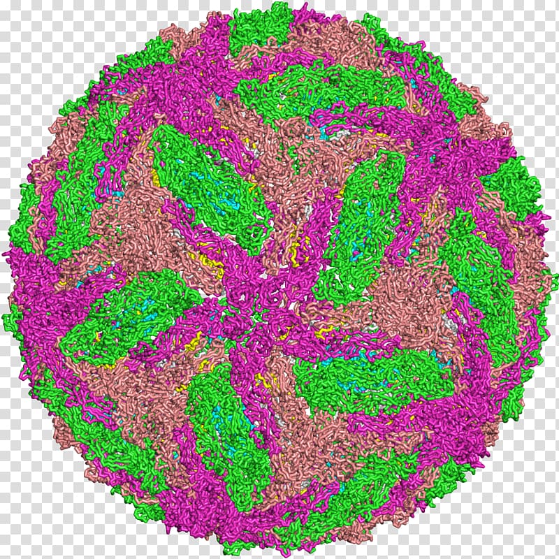 Dengue virus Disease Leaf, Dengue Virus transparent background PNG clipart