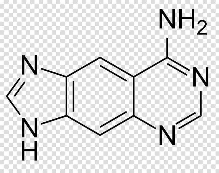 Purine Pyrimidine Nucleobase Chemical compound Structure, modified transparent background PNG clipart