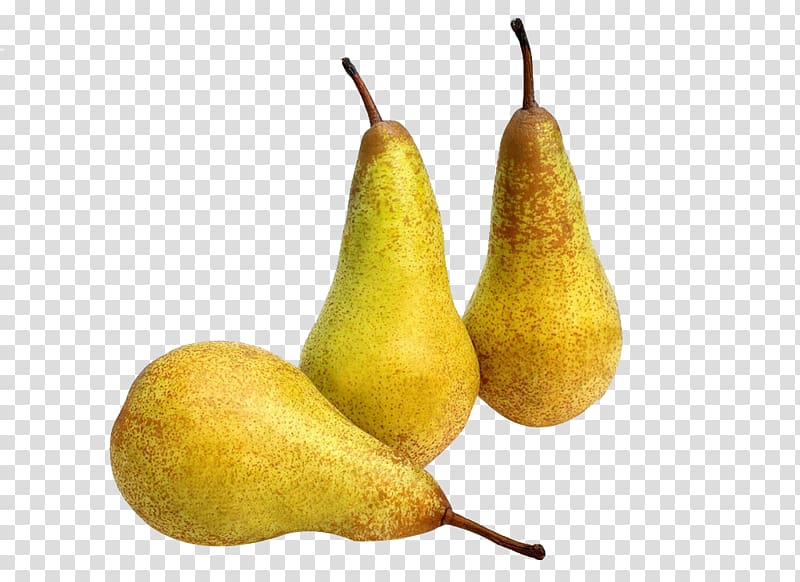 Conference pear Asian pear Fruit , Korla Pear transparent background PNG clipart