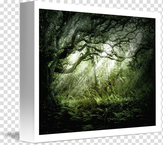 dark tree scenery clipart