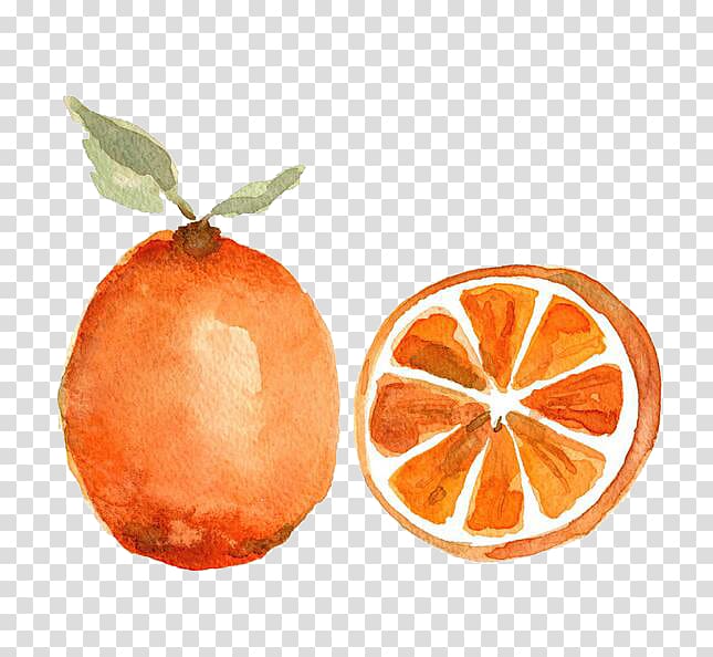 Watercolor painting Orange Fruit Printmaking, orange transparent background PNG clipart