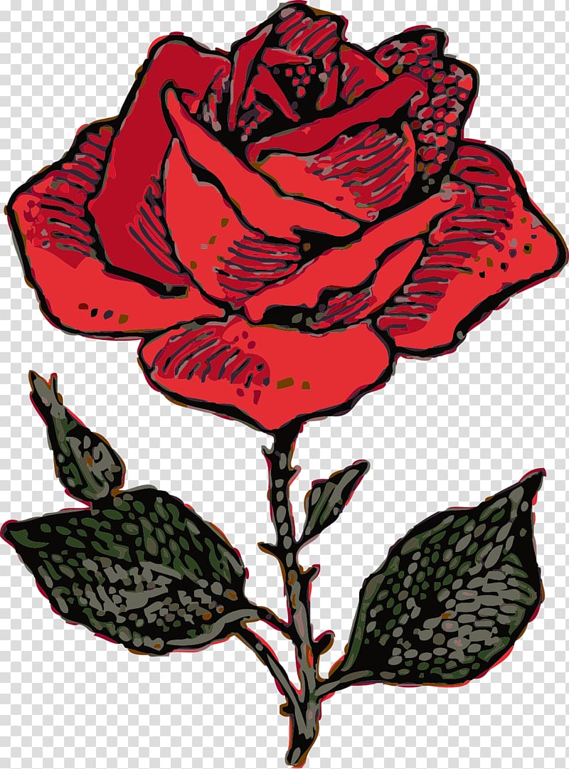 Rose Drawing , Rose Vine transparent background PNG clipart