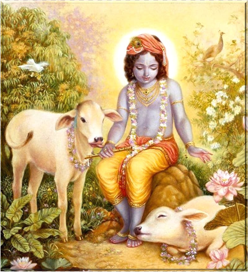 Highland cattle Krishna Janmashtami Vrindavan Krsna, the Supreme Personality of Godhead, Radha Krishna transparent background PNG clipart