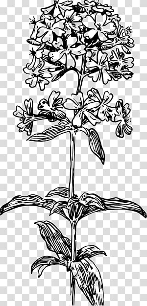 Drawing Computer Icons , others transparent background PNG clipart thumbnail