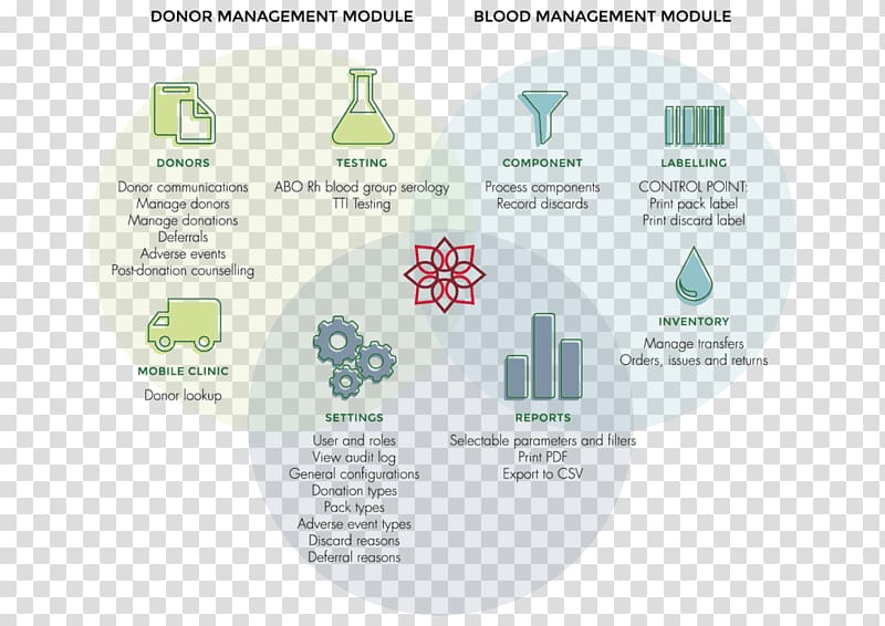Venn diagram Blood donation Blood transfusion, blood transparent background PNG clipart