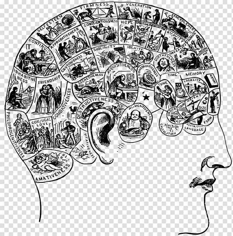 Brain Fart: Discover Your Flawed Logic, Failures in Common Sense and Intuition, and Irrational Behavior, How to Think Less Stupid Irrationality Mind, brain illustration transparent background PNG clipart