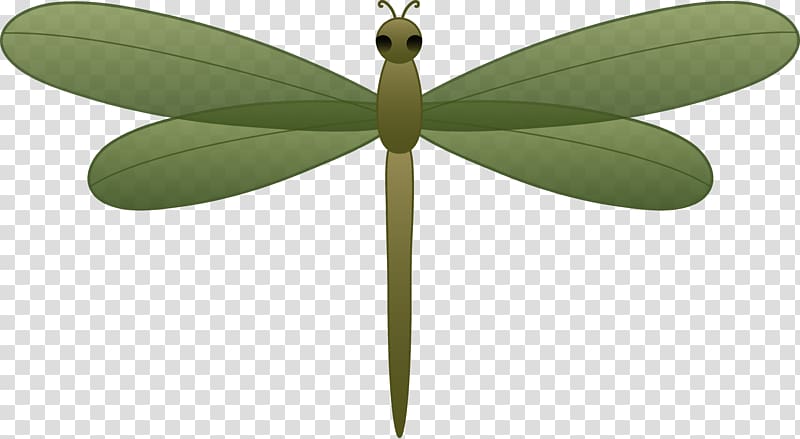 Scalable Graphics , Dragonfly transparent background PNG clipart