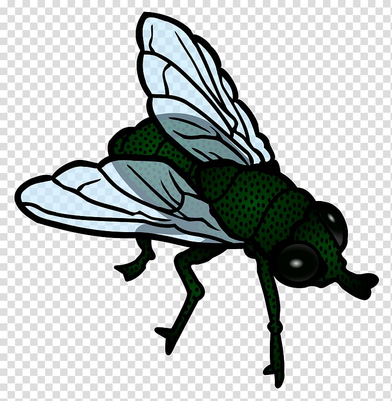 Fly Pterygota , Flying Snowball transparent background PNG clipart