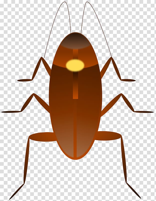 Dr. Cockroach , cockroach transparent background PNG clipart