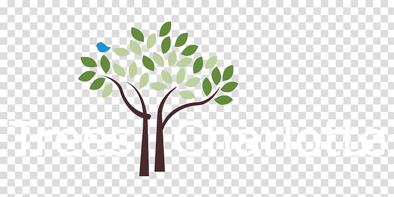 Tree planting Organization Canopy Non-profit organisation, tree transparent background PNG clipart