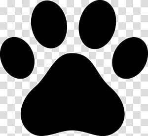 are dog paw prints like human fingerprints