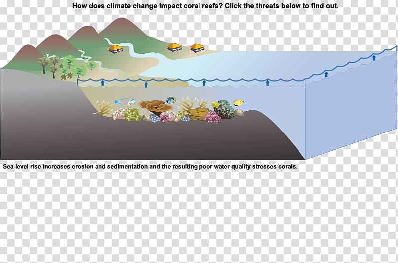 Sea level rise Climate change Global warming Ocean acidification, sea transparent background PNG clipart