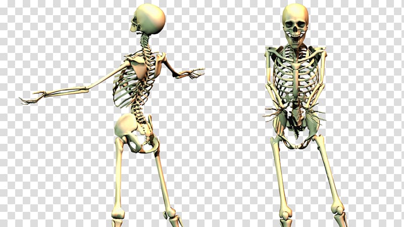 Jump scare Skeleton , others transparent background PNG clipart