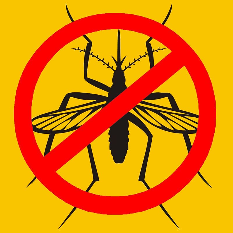 Insect Mosquito Encapsulated PostScript, mosquito transparent background PNG clipart