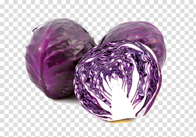 Red cabbage Violet Vietnam Vegetable, cabbage transparent background PNG clipart