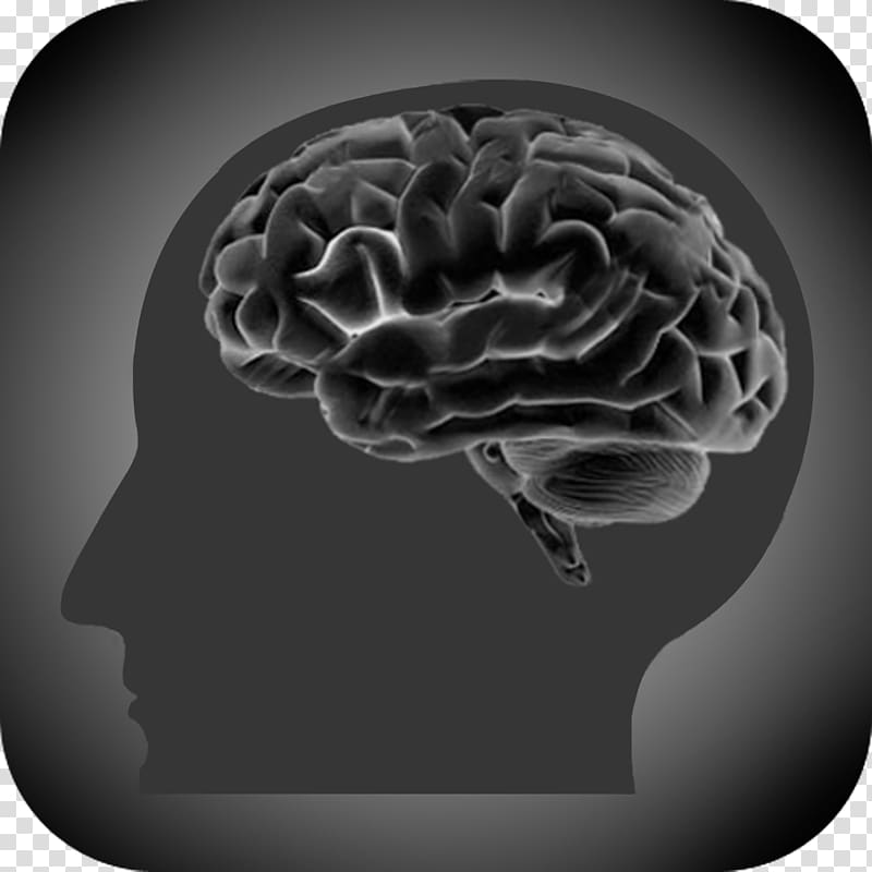 Brain Addiction Huntington\'s disease Problem gambling Cerebral atrophy, Brain transparent background PNG clipart