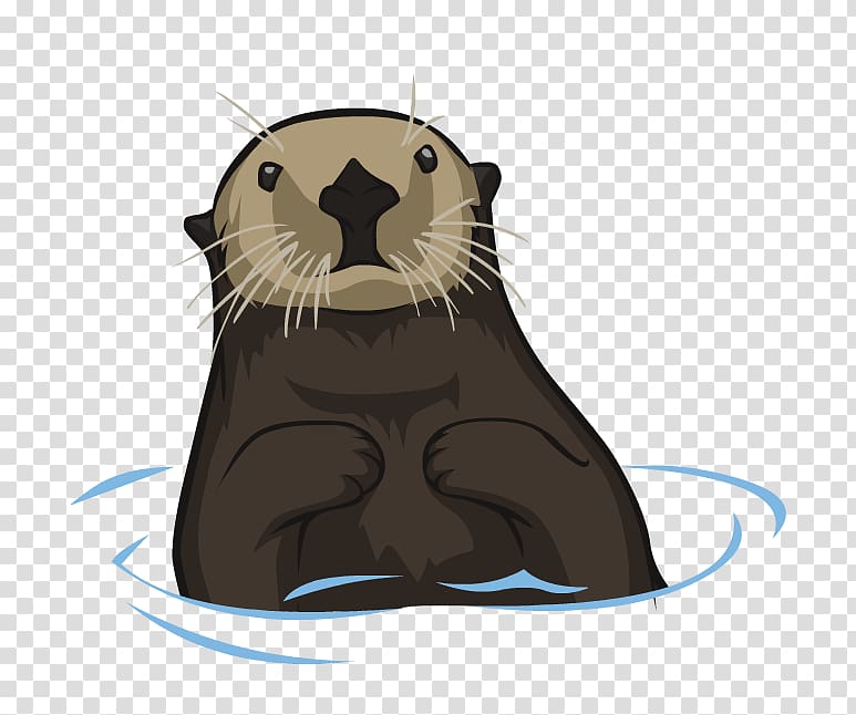Whiskers Sea otter, beaver transparent background PNG clipart