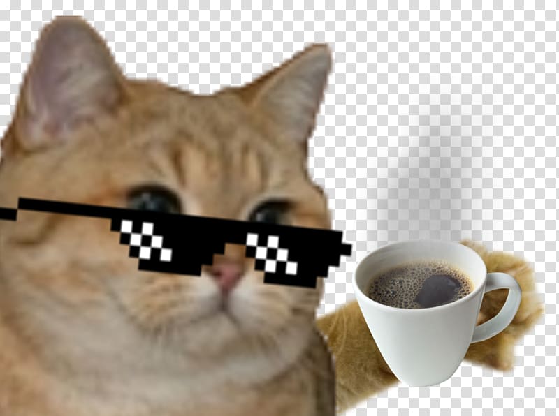 Internet meme Cat Internet forum Game, meme transparent background PNG clipart