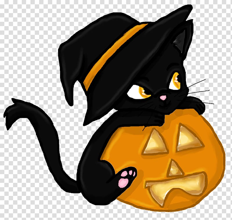 witch cat transparent background PNG clipart