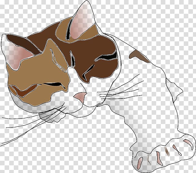Kitten Sphynx cat Siamese cat Calico cat , kitten transparent background PNG clipart