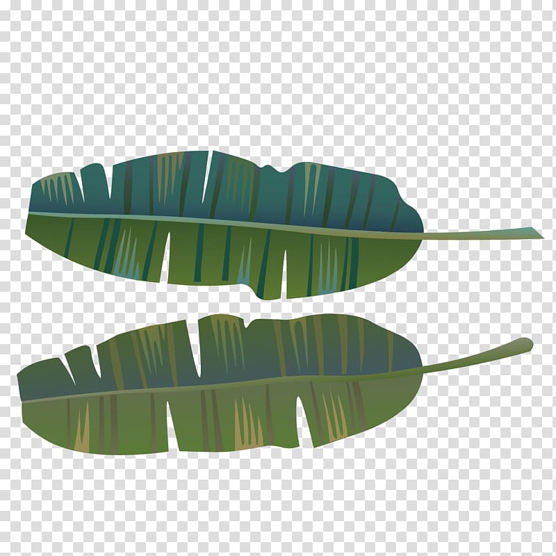two green banana leaves , green banana leaves transparent background PNG clipart